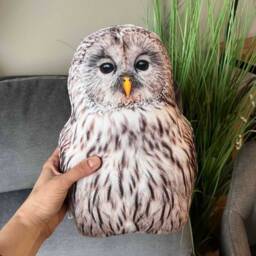 Realistic Tawny Owl Pillow, Woodland Decor Cushion - thumbnail 3