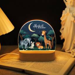 Custom Night Light Animals, Acrylic Desk Lamp, Led Lights With Kids Name Date, Baby Shower Favors Bedside Lamp, Baptism Gifts For Boy Girl