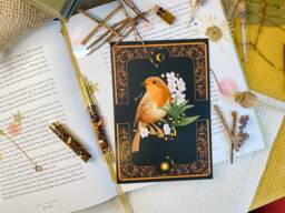 Robin Bird Post Cards Art Print Postkarten Set Wall Decoration Desk Decor Watching Floral Artprint - thumbnail 1