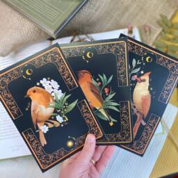 Robin Bird Post Cards Art Print Postkarten Set Wall Decoration Desk Decor Watching Floral Artprint - thumbnail 3