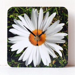 Daisy Desk Clock - Decoupage Photo Flowers White & Green Botanical Square - thumbnail 2