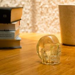 Hand Made Resin Skull Sculpture, Art, Homeware - thumbnail 2