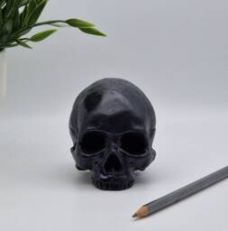 Solid Black Mini Human Skull Ornament Small Replica Plaster Of Paris Skull - thumbnail 1