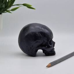Solid Black Mini Human Skull Ornament Small Replica Plaster Of Paris Skull - thumbnail 4