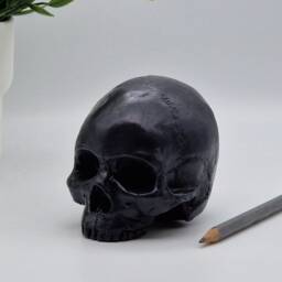 Solid Black Mini Human Skull Ornament Small Replica Plaster Of Paris Skull - thumbnail 3