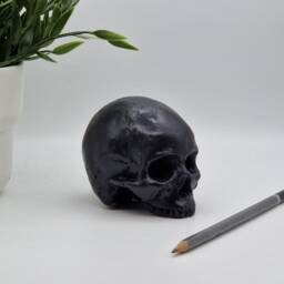 Solid Black Mini Human Skull Ornament Small Replica Plaster Of Paris Skull - thumbnail 2