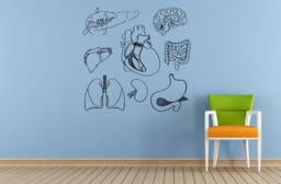 Human Anatomy Living Organs Health Life Window Or Wall Car Vinyl Peal & Stick Removable Sticker Decal L1480 - thumbnail 1