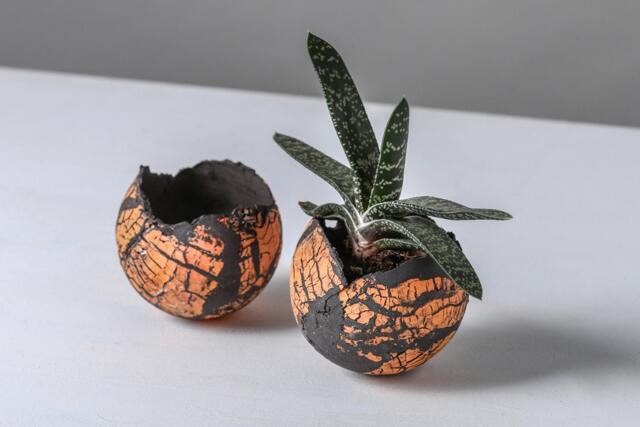 Set Of 2 Medium Orange & Black Ceramic Egg-Shape Planters - image 1