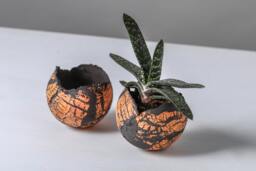 Set Of 2 Medium Orange & Black Ceramic Egg-Shape Planters - thumbnail 1