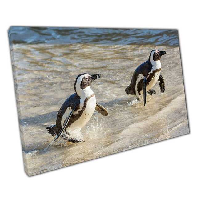 African Penguin Canvas Wall Art Ocean Wildlife Decor For Home & Office - Coastal Animal Print - image 1