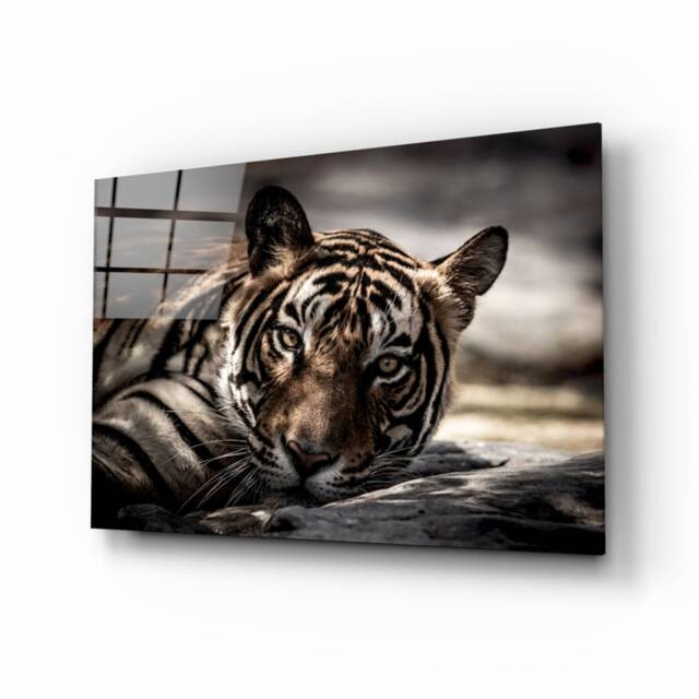 Wild Tiger Glass Wall Art - Jungle Animal Decor On Tempered Panel - image 1
