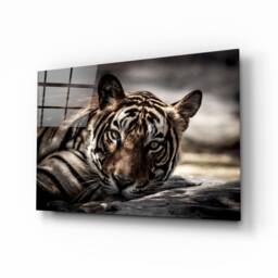 Wild Tiger Glass Wall Art - Jungle Animal Decor On Tempered Panel - thumbnail 1