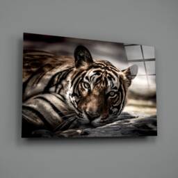 Wild Tiger Glass Wall Art - Jungle Animal Decor On Tempered Panel - thumbnail 2