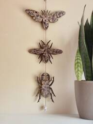Walnut Insect Garland Engraved Birch Wood Bug Wall Hanging - thumbnail 1