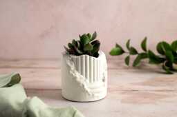Cracked Pillar Plant Pot - Unique Design With Central Void For Small Cacti Or Succulents - thumbnail 1