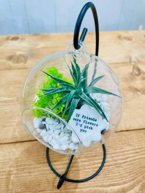 Diy Terrarium Air Plant Kit With Porcelain Stone For Friends. Best Friend Gift, Special Friend. Flowers - image 1