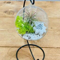 Diy Terrarium Air Plant Kit With Porcelain Stone For Friends. Best Friend Gift, Special Friend. Flowers - thumbnail 3