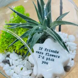 Diy Terrarium Air Plant Kit With Porcelain Stone For Friends. Best Friend Gift, Special Friend. Flowers - thumbnail 2