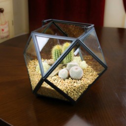 Geometric Terrarium Kit - Cactus & Succulent Garden With Bronze Trim Gift UK - thumbnail 2
