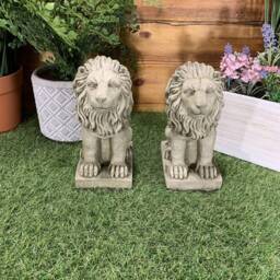 stone Garden Pair Of Small Proud Lion Ornaments - thumbnail 2