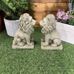 stone Garden Pair Of Small Proud Lion Ornaments - thumbnail 3
