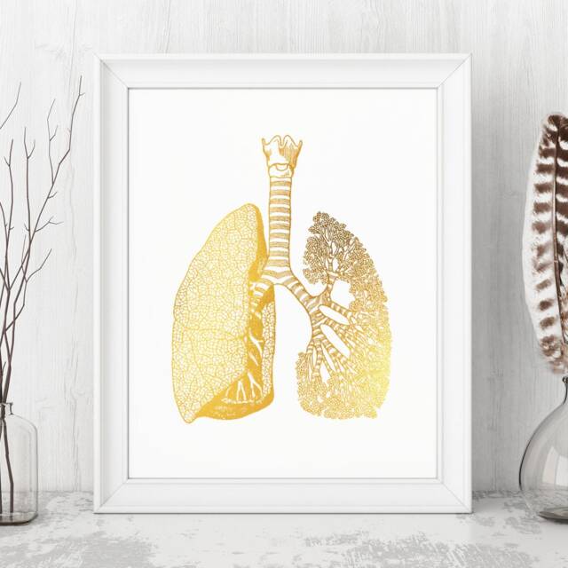 Gold Foil Lungs Print Vintage Anatomy Art, Medical Office Decor by Etsy ...