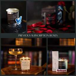Literary Brew Candle - Book Lover Gift Unique Gifts For Readers Romantasy - thumbnail 3