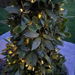 100Pcs Solar String Hanging Warm White Fairy Lights Outdoor Garden Decor - thumbnail 3