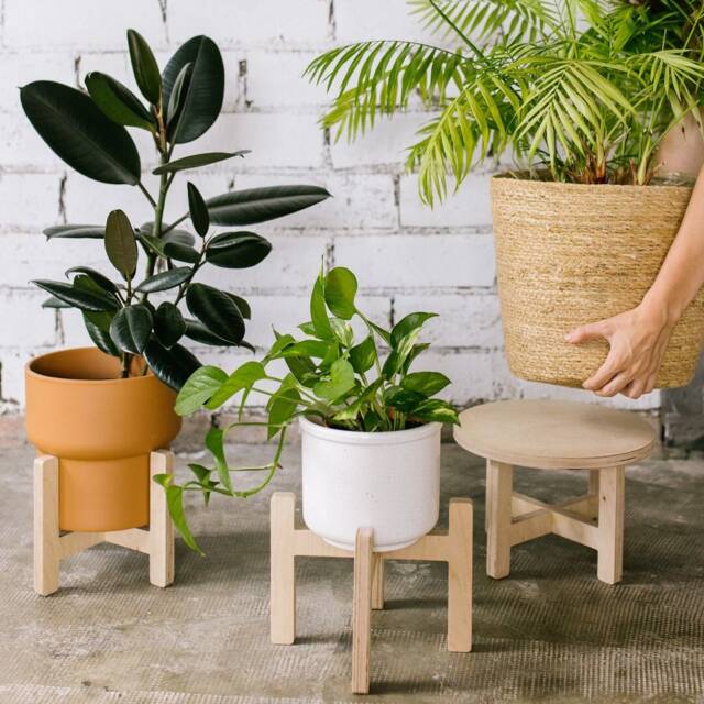 Versatile Removable Plant Stand With Adjustable Heights - Sustainable Birchwood Display For Pots, Stools, Footrests, Or Coffee Tables - image 1