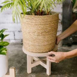 Versatile Removable Plant Stand With Adjustable Heights - Sustainable Birchwood Display For Pots, Stools, Footrests, Or Coffee Tables - thumbnail 3