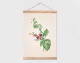 Poster Holder - Vintage Botanical Red Raspberries Canvas With Wood Hanger - Gift For Her - Poster - Frame - thumbnail 1