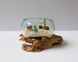 Blown Glass Medium, Melted Glass, Molten Terrarium, Vase, Hand Recycled Succulent Planter, Apartment Decor, Gift For Her