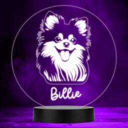Pomeranian Dog Pet Silhouette Multicolour Personalised Gift Led Lamp Night Light - Bedroom - thumbnail 1