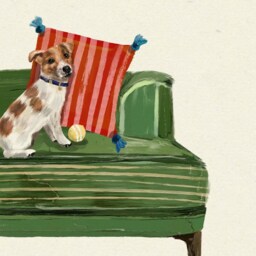 Jack Russell Print - Dogs On Chairs Collection 5x7 Inches/A5 A4 A3 - thumbnail 3