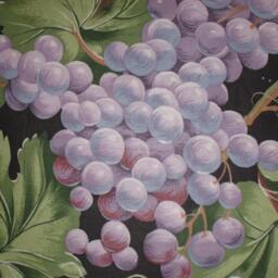 Beautiful Grape Print Decorative Pillow Cover - 24 - thumbnail 4
