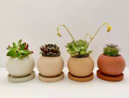 Small Concrete Succulent Pot Desert Boho Planter - thumbnail 1