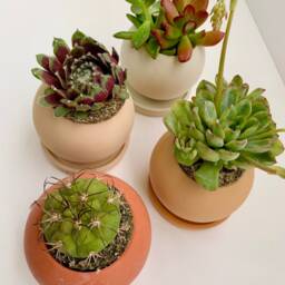 Small Concrete Succulent Pot Desert Boho Planter - thumbnail 3