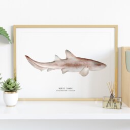 Nurse Shark Watercolour Art Print - Bathroom Wall Ocean, Beach D??cor Kid's Room Poster Gift Ginglymostoma Cirratum - thumbnail 2