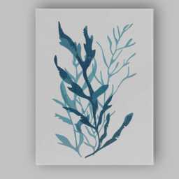 Modern Blue Kelp Seaweed Marine Botanical Illustration Canvas Wall Art Print Decor Picture Ready To Hang - thumbnail 1