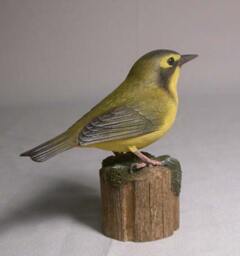 Kentucky Warbler Bird Carving Wood - thumbnail 2
