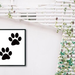 2Pcs Dog Paw Print Vinyl Decal Car, Laptop, Window, Wall - thumbnail 3