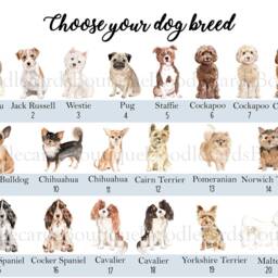 Reserved For Dog Cushion - Watercolour Dogs Cushion- Lover Gift - thumbnail 3