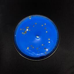 Pisces Soy Candle 10Oz. Glass Jar/Zodiac Gift Amethyst Crystal Healing Birthstone - thumbnail 2
