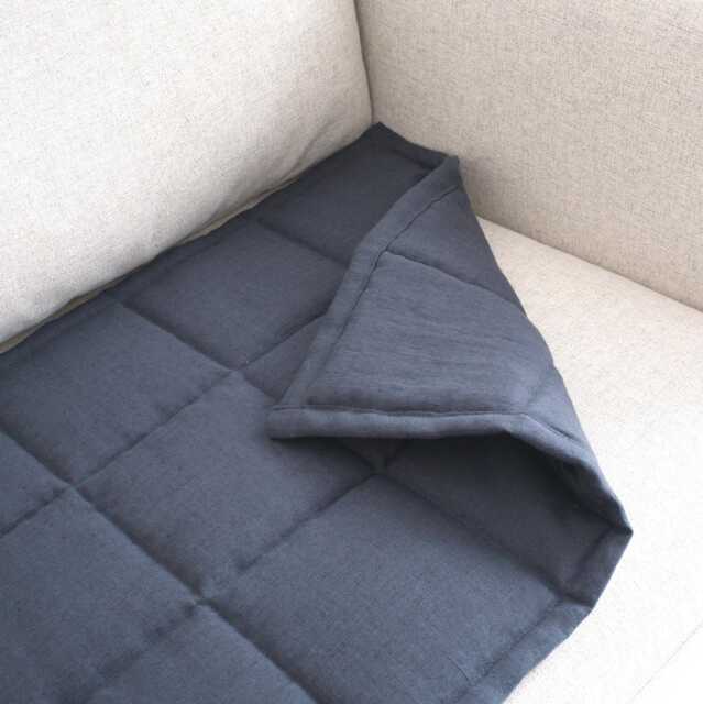 Couch Seat Cover For Pets & Kids, Linen Quilted Sofa Protector, Pad Topper - image 1