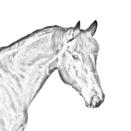 Bay - Wooden Stand For Candles/Pens With The Image Of A Horse New Collection - thumbnail 2