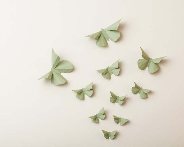 3D Wall Butterflies Green Tea Butterfly Silhouettes For Girls Room, Nursery, & Home Art Decor - image 1