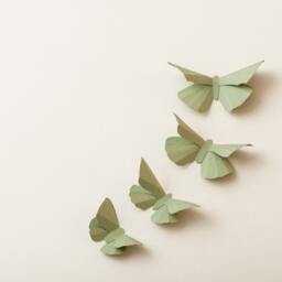 3D Wall Butterflies Green Tea Butterfly Silhouettes For Girls Room, Nursery, & Home Art Decor - thumbnail 3