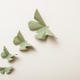 3D Wall Butterflies Green Tea Butterfly Silhouettes For Girls Room, Nursery, & Home Art Decor - thumbnail 2