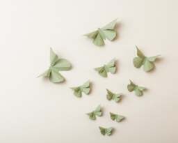 3D Wall Butterflies Green Tea Butterfly Silhouettes For Girls Room, Nursery, & Home Art Decor - thumbnail 1