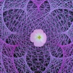 Sacred Purple Lotus Mandala.uv Psychedelic String Art, Handmade Wall Art, 3D, Black Light, Decor, Wall Hanging, Yoga, Thread&nails, Meditation - thumbnail 3